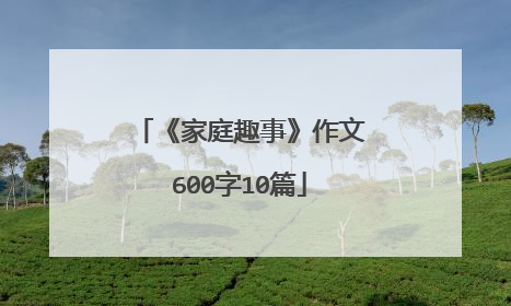 《家庭趣事》作文600字10篇