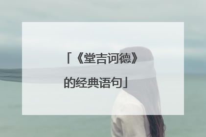 《堂吉诃德》的经典语句