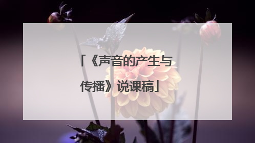 《声音的产生与传播》说课稿