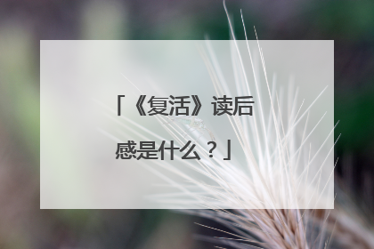 《复活》读后感是什么？