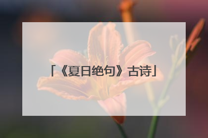 《夏日绝句》古诗