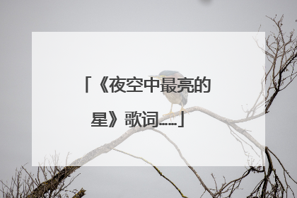 《夜空中最亮的星》歌词……