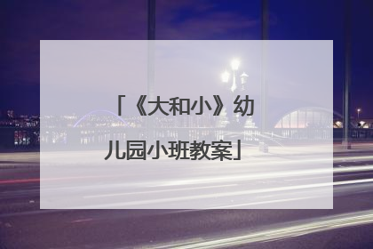 《大和小》幼儿园小班教案