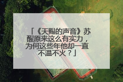 《天赐的声音》苏醒原来这么有实力，为何这些年他却一直不温不火？