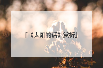 《太阳的话》赏析