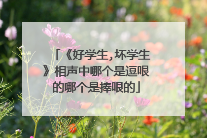 《好学生,坏学生》相声中哪个是逗哏的哪个是捧哏的