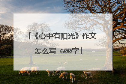 《心中有阳光》作文怎么写 600字