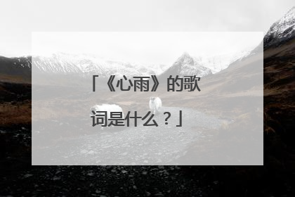 《心雨》的歌词是什么?