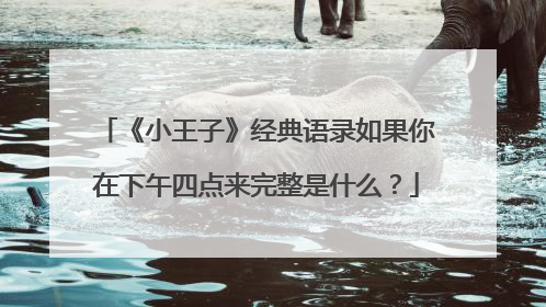 《小王子》经典语录如果你在下午四点来完整是什么?