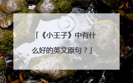 《小王子》中有什么好的英文原句？