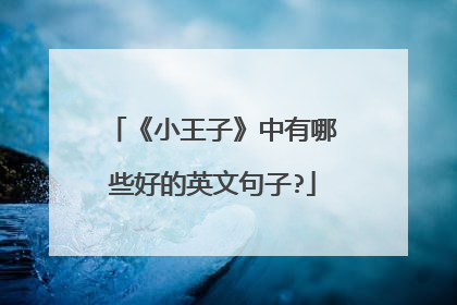 《小王子》中有哪些好的英文句子?
