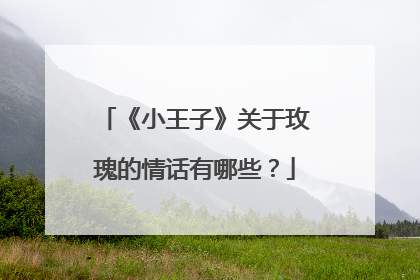 《小王子》关于玫瑰的情话有哪些？
