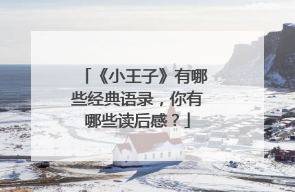 《小王子》有哪些经典语录,你有哪些读后感?