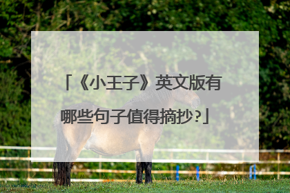 《小王子》英文版有哪些句子值得摘抄?