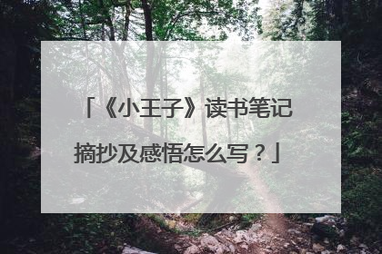 《小王子》读书笔记摘抄及感悟怎么写？