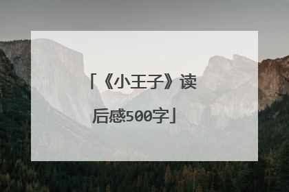 《小王子》读后感500字