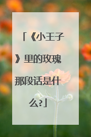 《小王子》里的玫瑰那段话是什么?