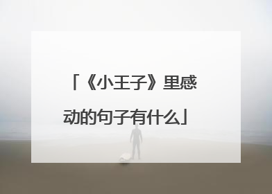 《小王子》里感动的句子有什么