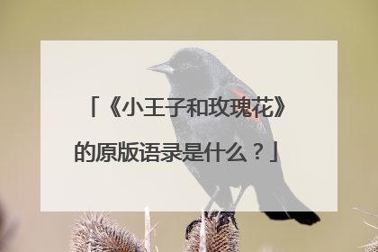 《小王子和玫瑰花》的原版语录是什么？