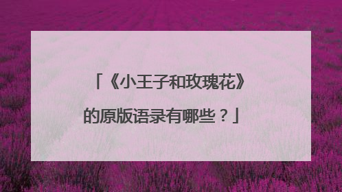 《小王子和玫瑰花》的原版语录有哪些？