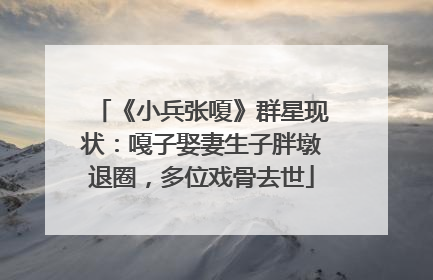 《小兵张嗄》群星现状:嘎子娶妻生子胖墩退圈,多位戏骨去世