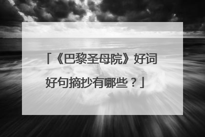 《巴黎圣母院》好词好句摘抄有哪些？