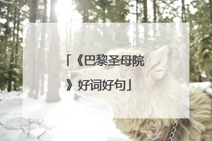 《巴黎圣母院》好词好句