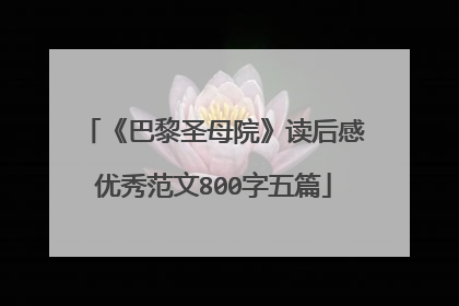 《巴黎圣母院》读后感优秀范文800字五篇