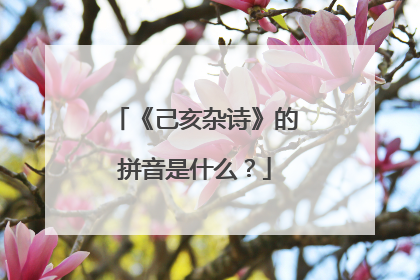 《己亥杂诗》的拼音是什么?