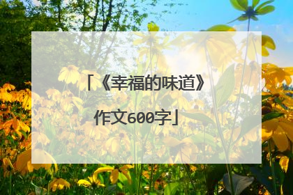 《幸福的味道》作文600字