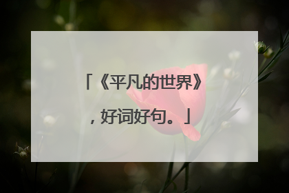 《平凡的世界》，好词好句。