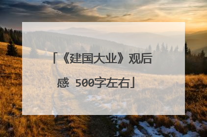 《建国大业》观后感 500字左右