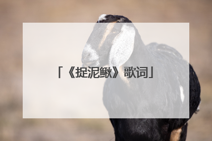 《捉泥鳅》歌词