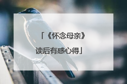 《怀念母亲》读后有感心得