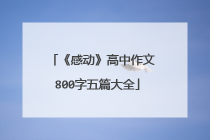 《感动》高中作文800字五篇大全