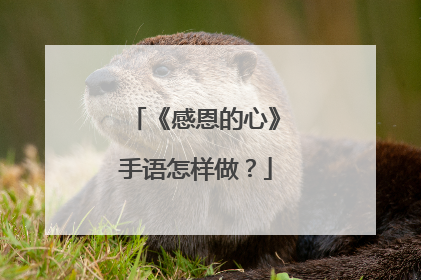 《感恩的心》手语怎样做?