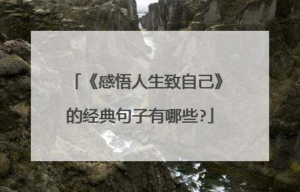 《感悟人生致自己》的经典句子有哪些?