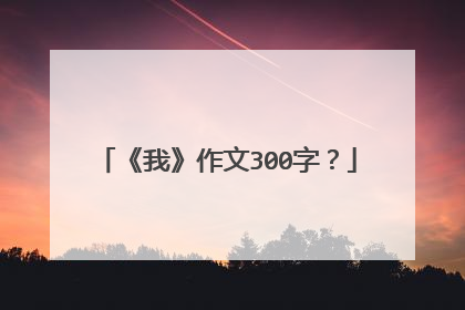 《我》作文300字？