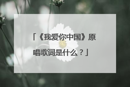 《我爱你中国》原唱歌词是什么？