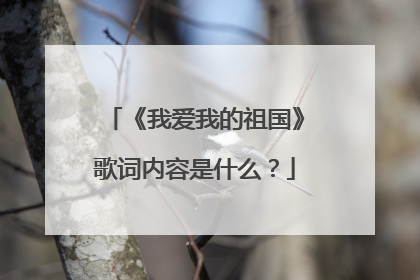 《我爱我的祖国》歌词内容是什么?