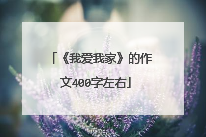 《我爱我家》的作文400字左右