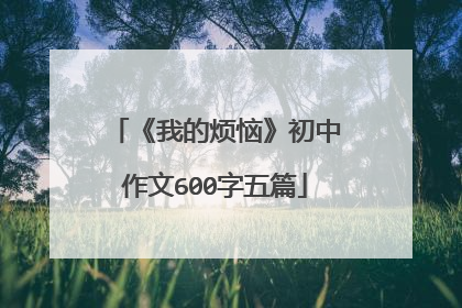 《我的烦恼》初中作文600字五篇