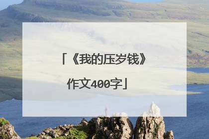 《我的压岁钱》作文400字