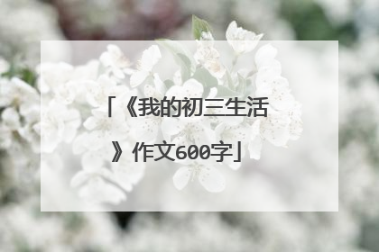 《我的初三生活》作文600字