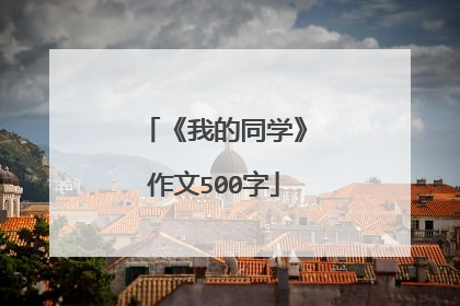 《我的同学》作文500字