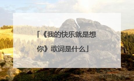 《我的快乐就是想你》歌词是什么