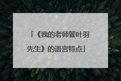 《我的老师管叶羽先生》的语言特点