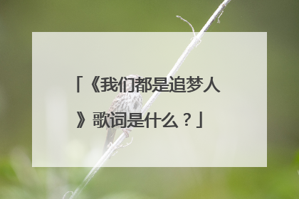 《我们都是追梦人》歌词是什么？