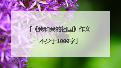 《我和我的祖国》作文 不少于1000字