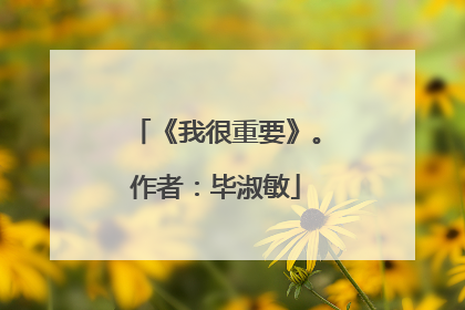 《我很重要》。作者:毕淑敏